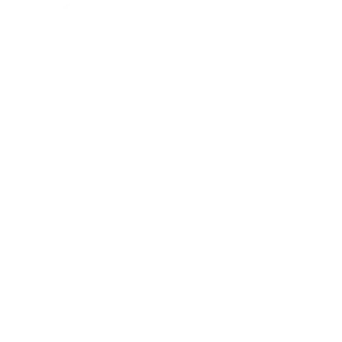 AI Policy For Software Project